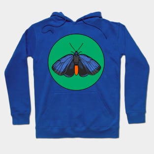 Atala Butterfly Hoodie